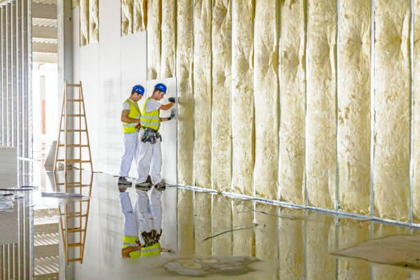 Best Attic Insulation Installation  in California, MO